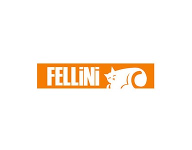 Maltepe Fellini Kombi Servisi ☎️ 0216 309 40 26 ☎️